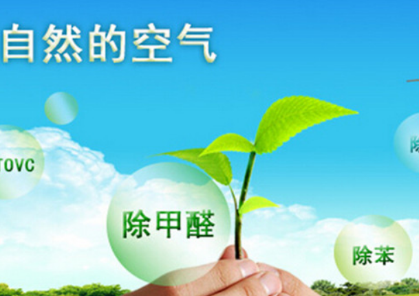 除了空氣凈化器，還有哪些方法可以有效去除甲醛？